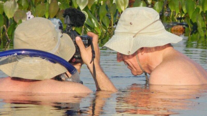 Sebastião Salgado, em 2011, durante o projeto Genêsis, no Pantanal