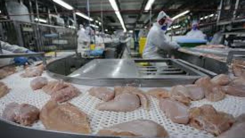 Restrição japonesa à importação de carne de frango ficará restrita somente ao município onde o foco da gripe foi constatado