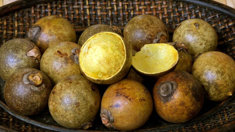 Gastronomia B+: Aprenda a fazer uma saborosa chipa de bocaiuva e conheça mais sobre seus benefícios