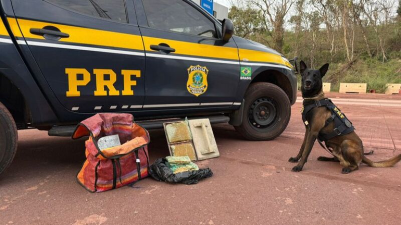 Ação da PRF prende quatro pessoas, apreende veículo furtado e drogas em MS