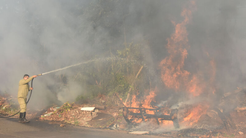 Incêndio em vegetação mobilizou bombeiros em Campo Grande