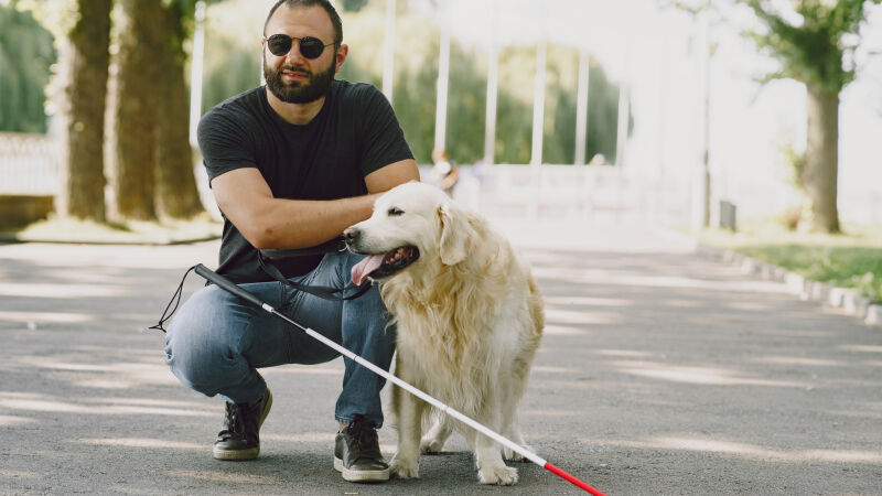 Os cães-guia que auxiliam pessoas com deficiência visual são considerados animais de serviço, bem como os cães que auxiliam policiais, bombeiros e pessoas que precisam de ajuda com a audição, a mobilidade ou no reconhecimento de crises