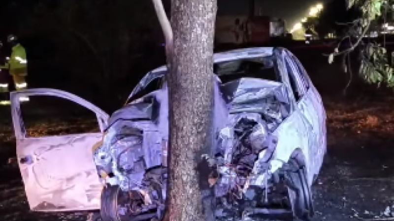 Carro ficou completamente destruído, por conta da batida e do incêndio