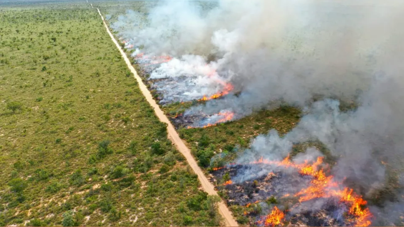Queima controlada está proibida em Mato Grosso do Sul