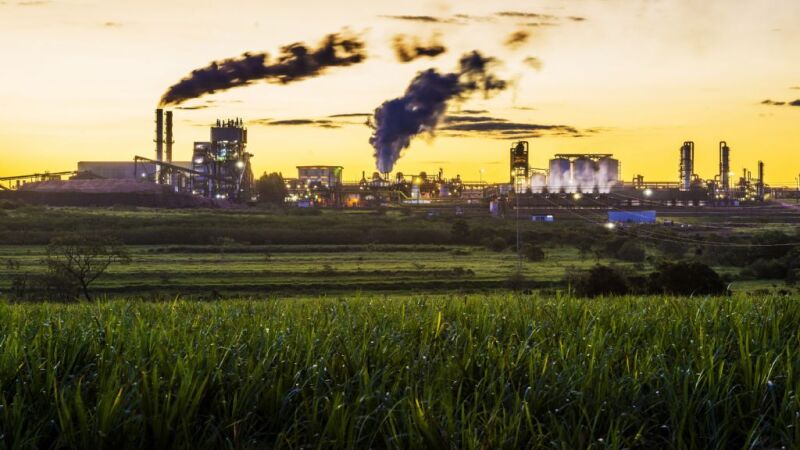 Usina Santa Luzia, em Nova Alvorada do Sul, fechou no azul, mas a de Rio Brilhante registrou prejuízo