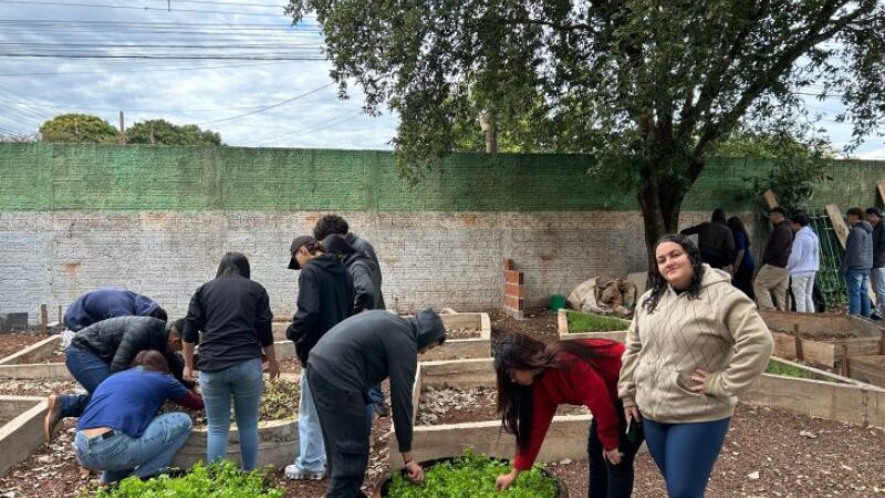 Proposta nasceu de incentivo da Fundação de Apoio ao Desenvolvimento do Ensino, Ciência e Tecnologia do Estado de Mato Grosso do Sul (Fundect)