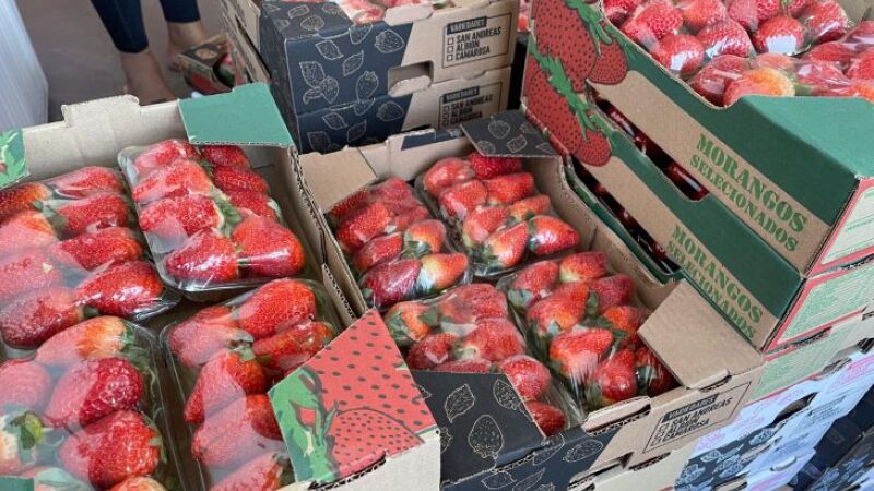 Passada a febre do Morango do Amor, preço da fruta começa a 