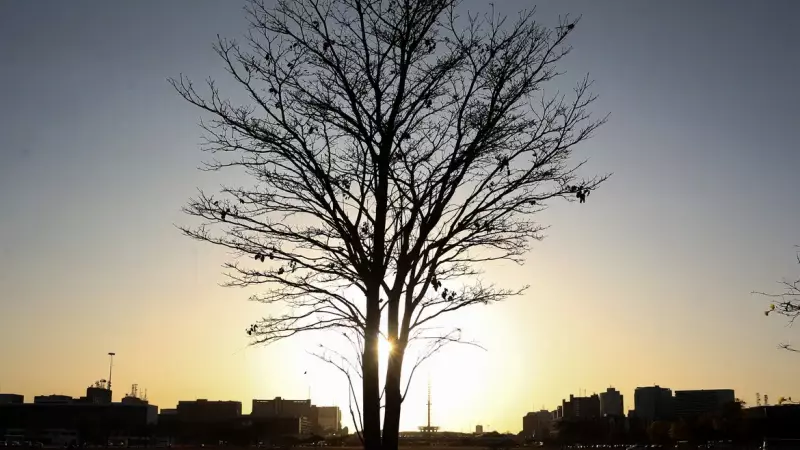 Se o aquecimento ultrapassar 1,5 grau, acreditam cientistas, os sistemas naturais sofrerão problemas irreverssíveis