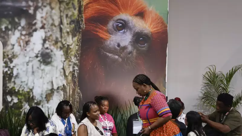 Estimativa é de que 50 mil pessoas, entre negociadores, cientistas, governantes e outros passem por Belém ao longo desta semana