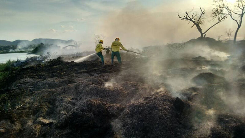 Chuvas podem ter contribuído para a redução histórica de focos de incêndio nos biomas