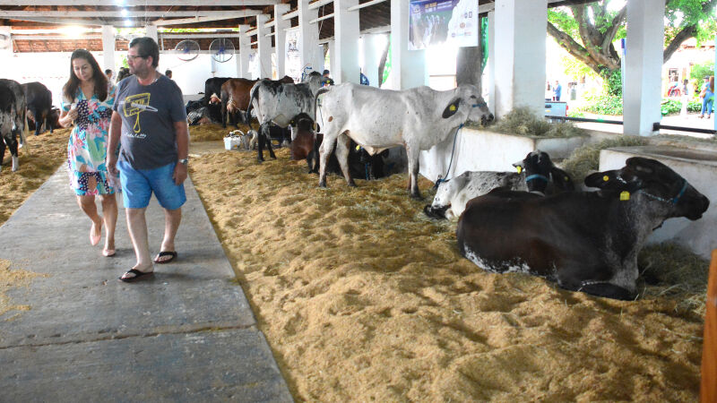 Exposição de animais na Expogrande