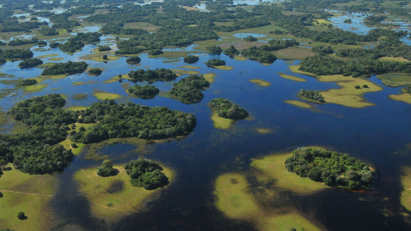 Pantanal faz parte de projeto para implantação de corredores ecológicos na América do Sul