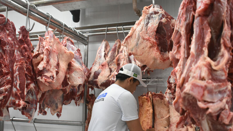 Em relação ao volume financeiro, as exportações de carne bovina aumentaram 51,1% no comparativo com todo o ano de 2024, com a venda de US$ 1,7 bilhão a outros países