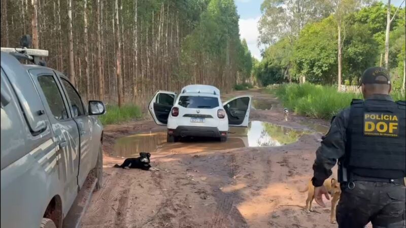 Pesadas, as substâncias somaram 320 quilos de entorpecentes