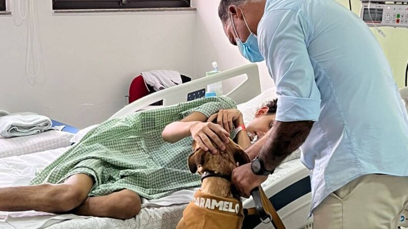 Pet B+: Petlove, Instituto Caramelo e A.C.Camargo transformam cães resgatados em terapeutas 
