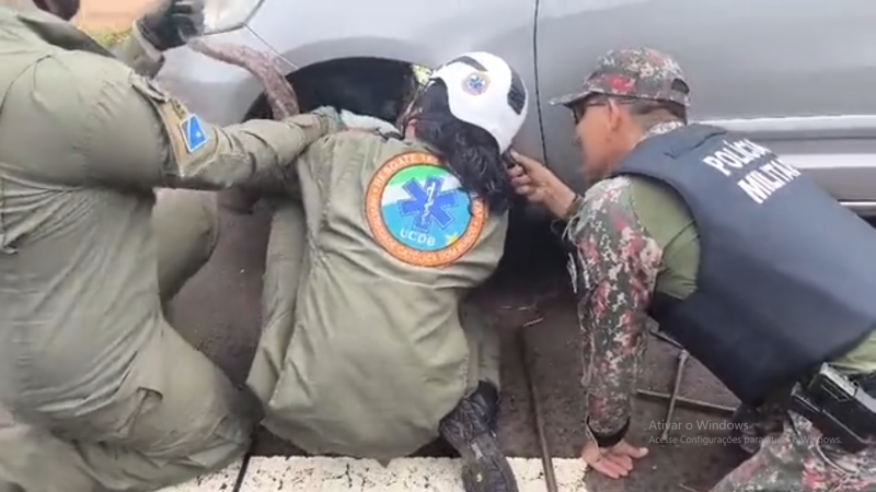 Resgate de cobra em roda de carro
