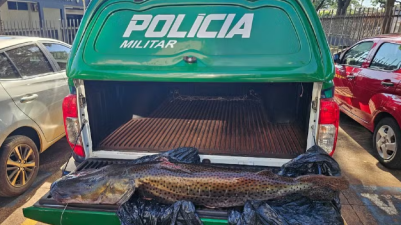 Peixe foi apreendido pela PMA