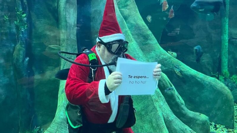 Atração promete encantar visitantes de todas as idades