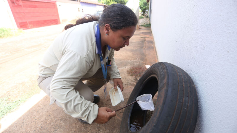 SES deve ampliar ações para combate ao mosquito em 2026