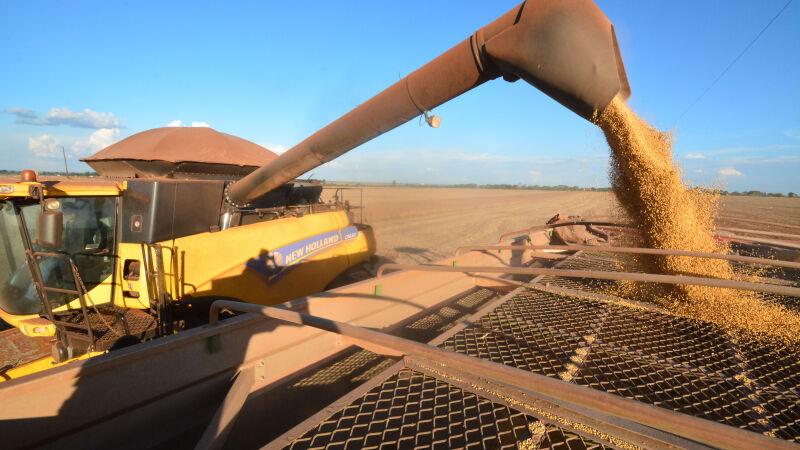 Produção de grãos no Estado deve atingir novo recorde na safra 25/26