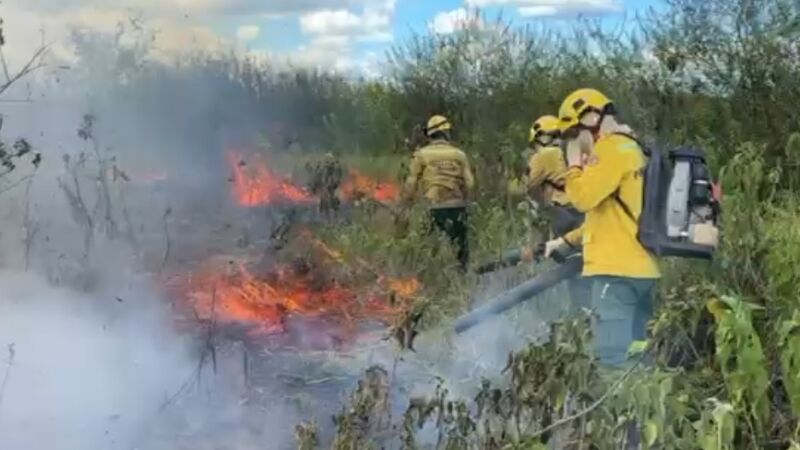 Incêndios florestais se alastram em MS e preocupam autoridades