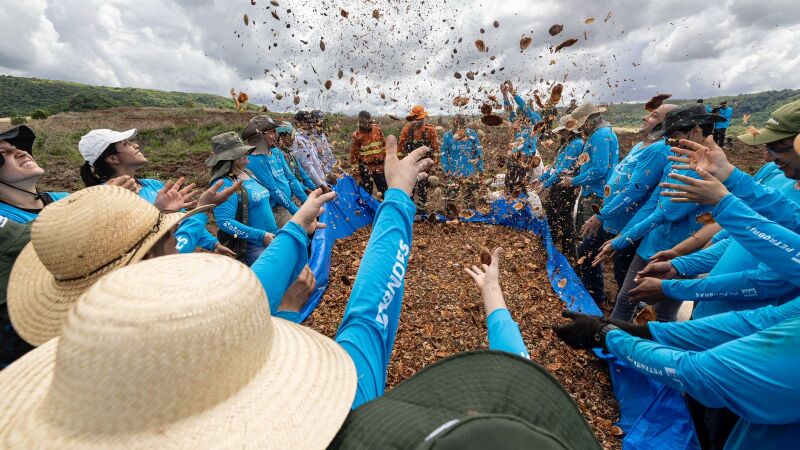 Jatobá, mutambo, mogno-bravo, sucupira, baru, faveira e outras espécies essenciais para a recomposição do solo, como gramíneas e leguminosas, estão sendo semeadas