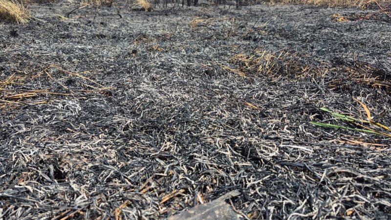 Calor e baixa umidade têm causado focos de incêndio mesmo em época de chuva
