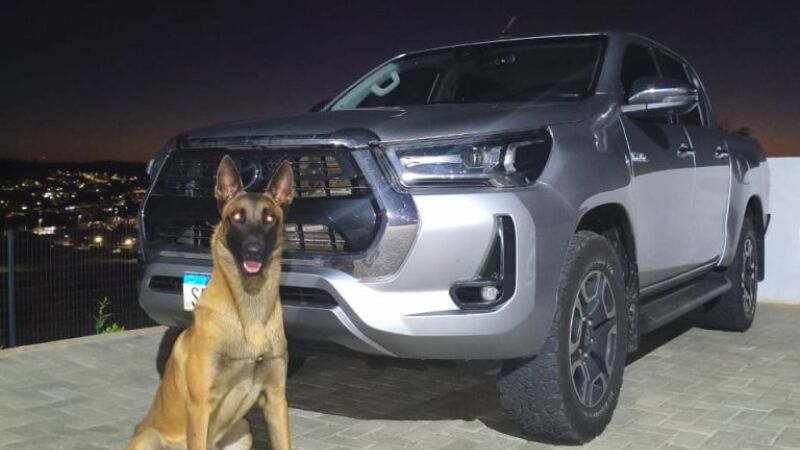 Caminhonete foi localizada em Santo Antônio do Sudoeste, no Paraná