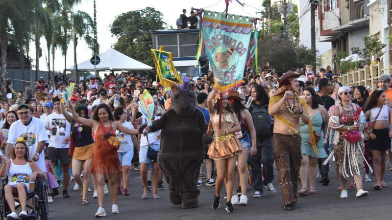 Bloco Capivara Blasé animou a festa neste domingo (15)