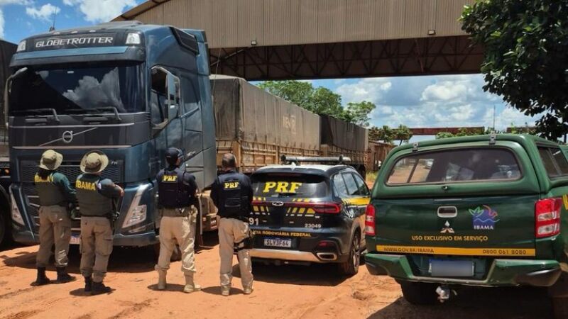 Compilados indícios de que a documentação era falsa, a chance é que essa carga de madeira, na verdade, tenha sido extraída ilegalmente no Pará.