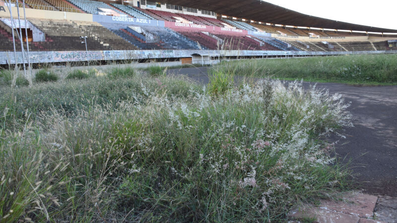 Morenão não recebe jogos desde 2022 e atualmente está tomado pelo mato