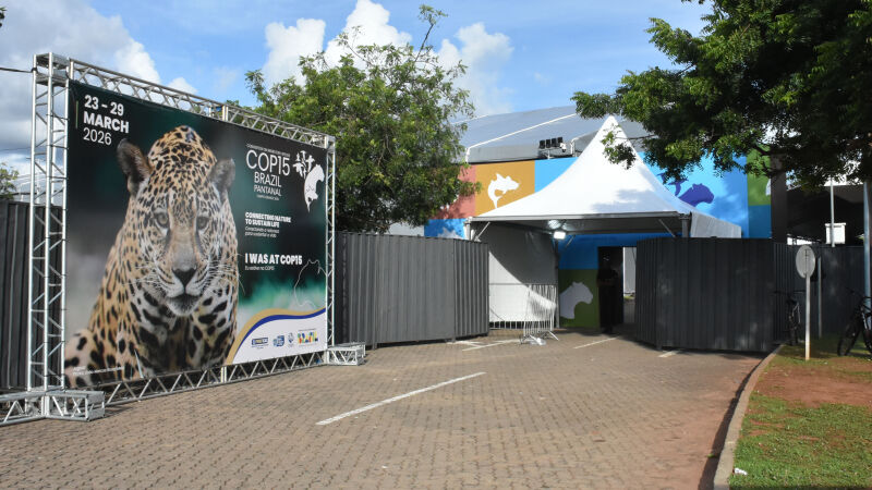 COP15 começa na segunda-feira, mas eventos paralelos já começam no domingo