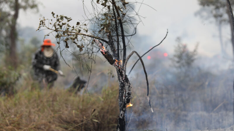 Incêndios no Pantanal 