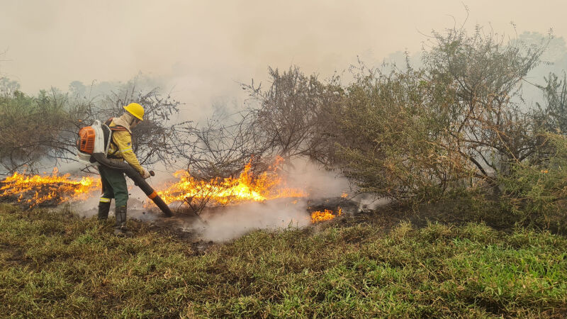 Temporada de seca aumenta chance de incêndios no Pantanal