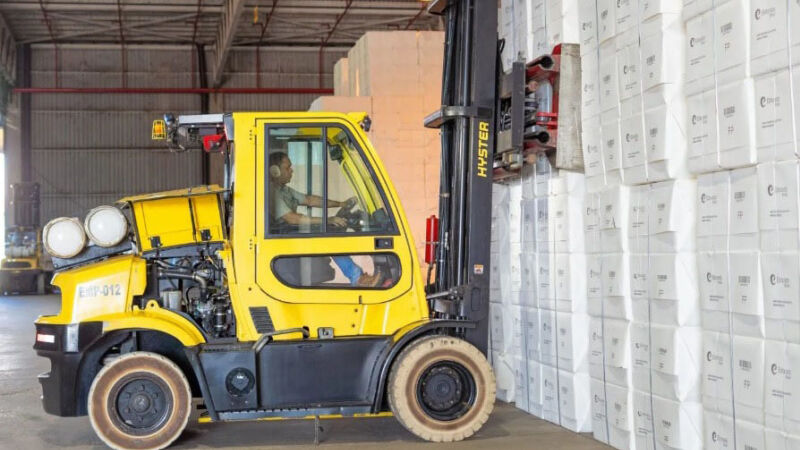 Celulose puxa exportações, seguida pela carne bovina e soja