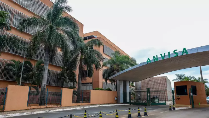 O cenobamato reduz a atividade elétrica anormal no cérebro