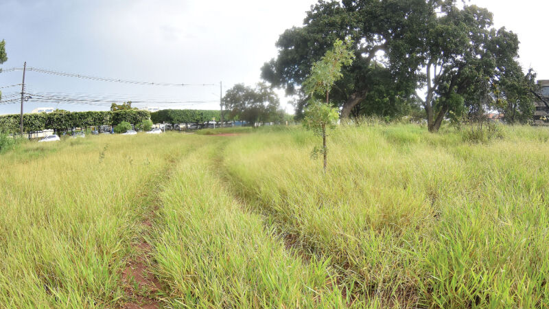 Terreno onde deve ser construído o Hospital Municipal de Campo Grande está tomado pelo mato