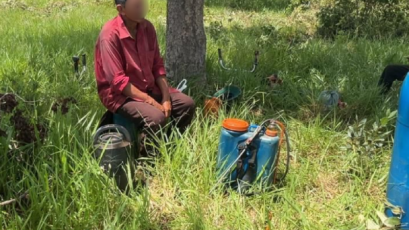 Trabalhadores foram indenizados e devidamente formalizados 