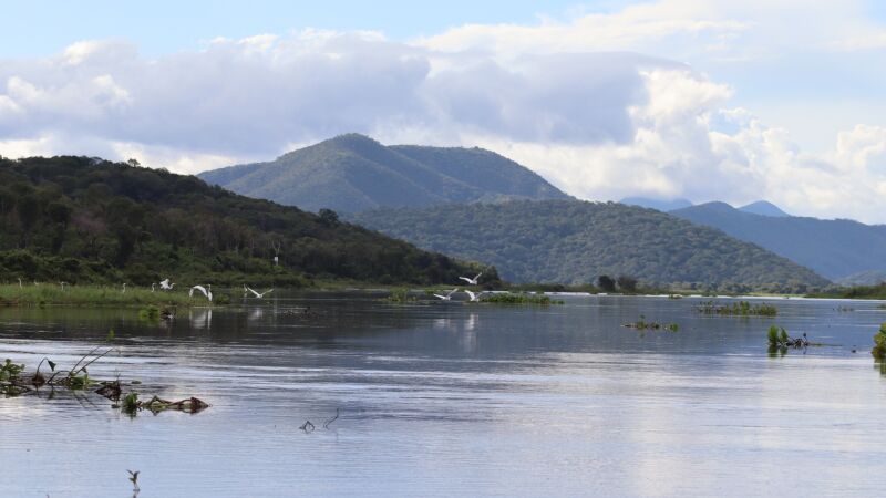 MS é destaque em ranking de maiores preservadores
