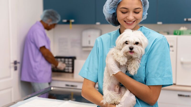 Você se importa com o bem estar dos médicos veterinários? Conheça sobre a campanha sobre o assunto.