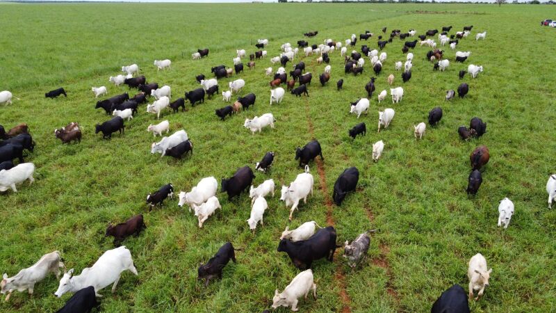 O crescimento se reflete em propriedades que apostaram na intensificação e na integração produtiva ao longo das últimas décadas