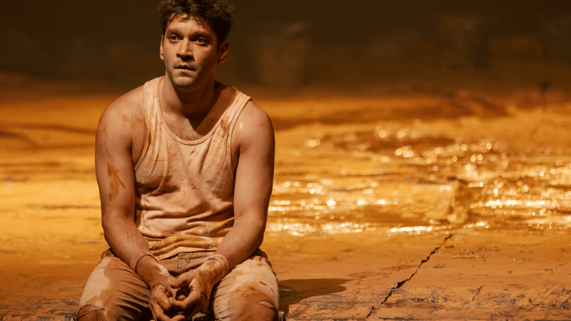 Idealizada e protagonizada por Armando Babaioff, peça já foi assistida por mais de 200 mil pessoas