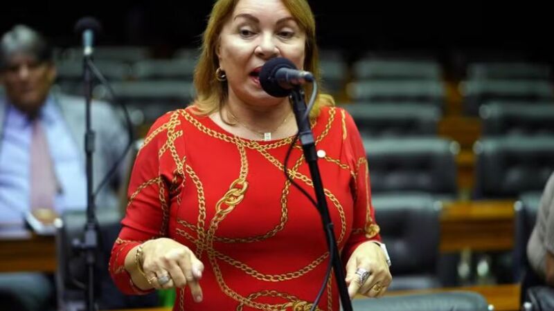 Deputada federal Gorete Pereira