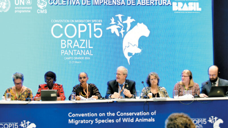 Ministra do Meio Ambiente, Marina Silva, participou de coletiva de imprensa na tarde de ontem