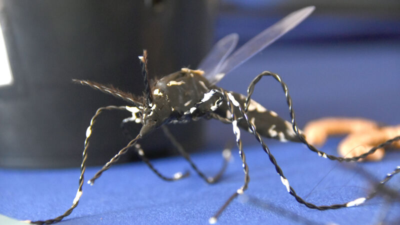  concentrada na área da Reserva Indígena, disseminação da doença já atinge outros bairros e áreas aparecem com maior incidência de focos do Aedes aegypti, transmissor também da Dengue e Zika.