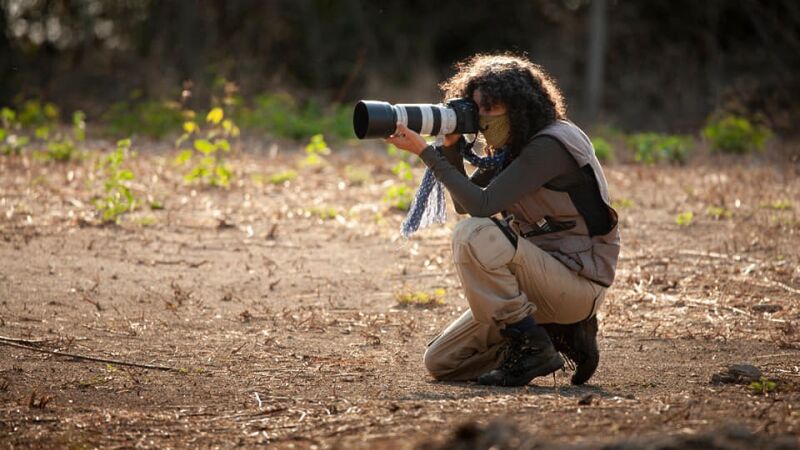 Ao longo dos anos, a pesquisadora ajudou a projetar a capital sul-mato-grossense como referência nacional na observação de aves