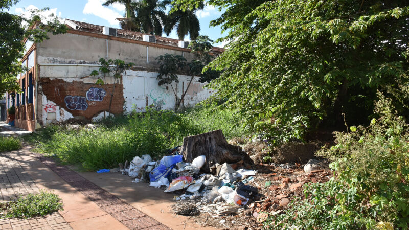 Cidadãos podem usar o aplicativo para denunciar terrenos sujos e abandonados