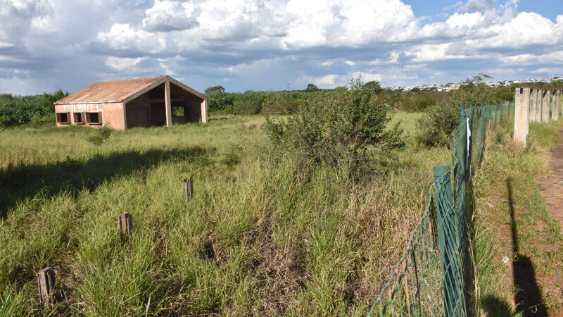 Parque Cônsul Assaf Trad vive abandono e MPMS cobra cuidado com nascente
