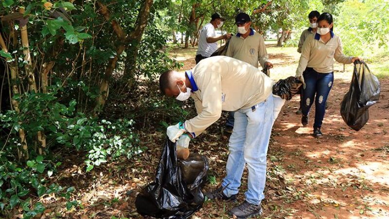 Não deixar água parada é a principal forma de evitar a disseminação e reprodução do mosquito causados da doença
