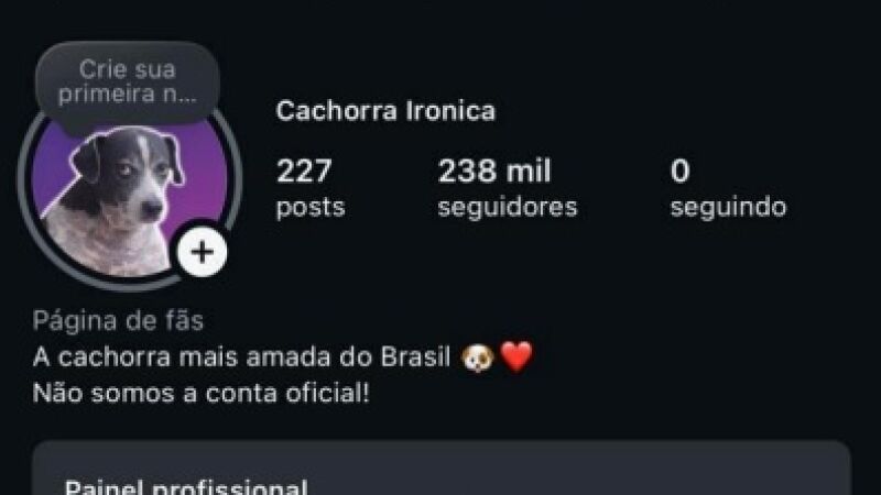 Instagram desabilitou perfil e deixou seu criador sem renda